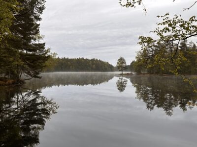 Ny policy om sen ansökan