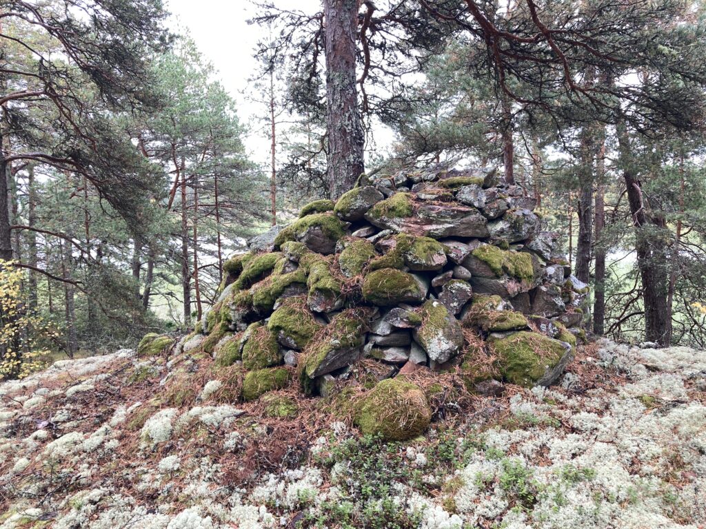 Röset vid Grufvan, mot Vänern